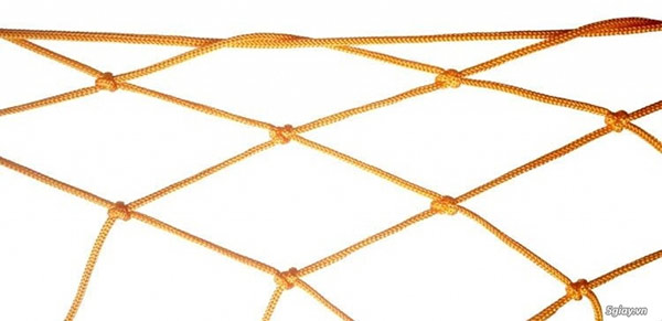 Các mắt lưới có cấu tạo chắc chắn