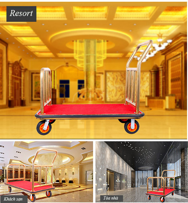 Mẫu xe được sử dụng tại tiền sảnh