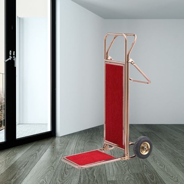 Xe kéo đẩy hành lý inox vàng - hình 3