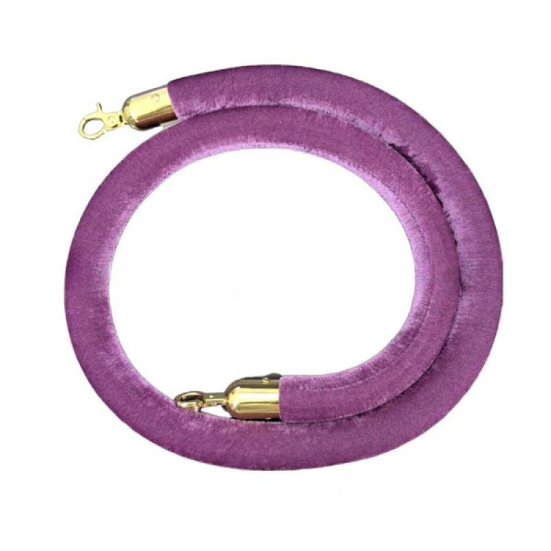 Dây nhung tím thay thế cho cột chắn