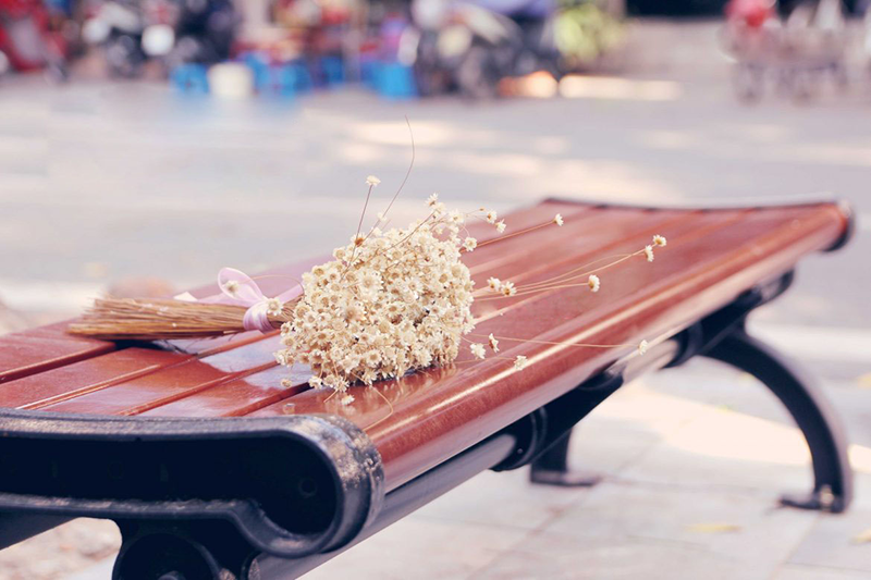 Ghế công viên bằng gỗ không tựa