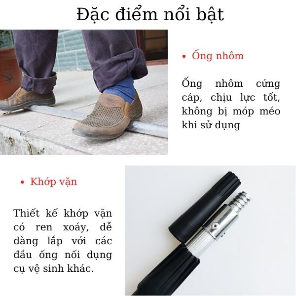 Một số đặc điểm nổi bật của cây lau kính nối dài
