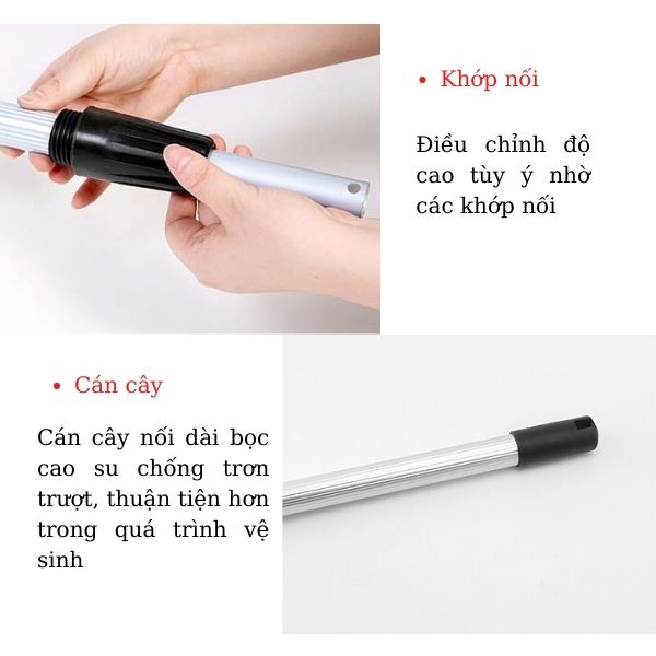 Một số đặc điểm nổi bật của cây lau kính nối dài