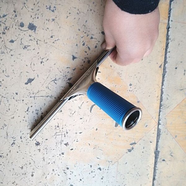 Hình ảnh thực tế cây lau kính tòa nhà