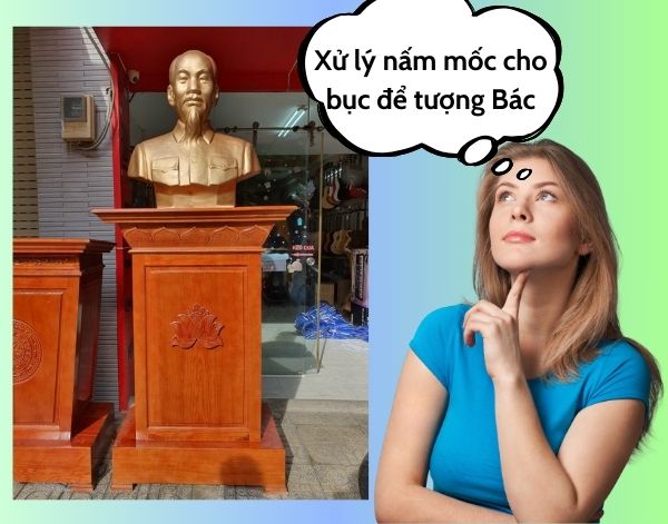 Nguyên nhân bục tượng Bác bằng gỗ bị mốc và cách xử lý nấm mốc hiệu quả