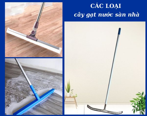 Cây gạt nước là gì? Hướng dẫn phân loại cây gạt nước sàn nhà