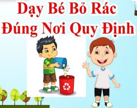 Câu truyện về việc bỏ rác đúng nơi quy định