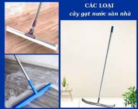 Cây gạt nước là gì? Hướng dẫn phân loại cây gạt nước sàn nhà
