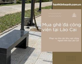 Tổng hợp địa chỉ mua ghế đá công viên tại Lào Cai