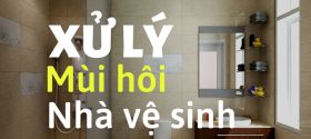 Giải pháp hay xử lý mùi hôi trong nhà vệ sinh 
