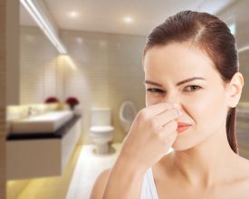Cách xử lý mùi hôi trong nhà vệ sinh