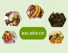 Rác hữu cơ là gì? Rác hữu cơ gồm những loại nào?