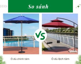 So sánh ô chính tâm và ô lệch tâm: Nên sử dụng loại nào?