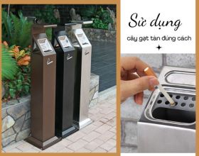 Sử dụng cây chứa tàn thuốc công cộng đúng cách: Liệu bạn đã biết?