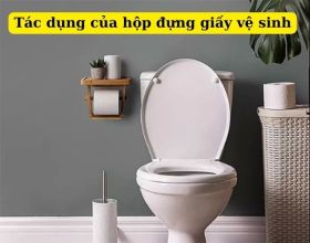 4 tác dụng hộp đựng giấy vệ sinh nhỏ nhắn mà bạn ít để ý