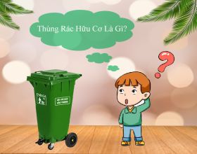 Thùng rác hữu cơ là gì? chúng thường chứa những loại rác thải nào?