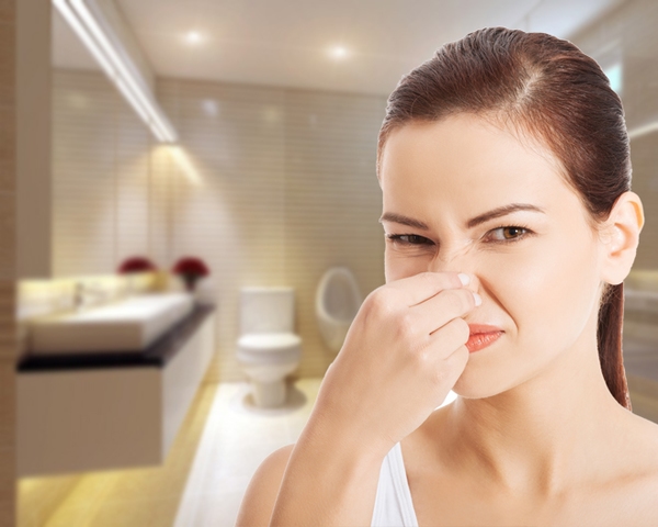 Cách xử lý mùi hôi trong nhà vệ sinh