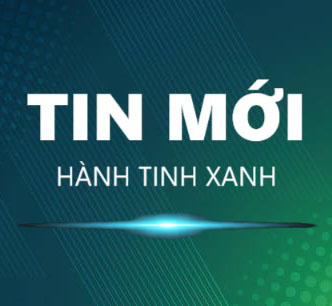 Tin Tức