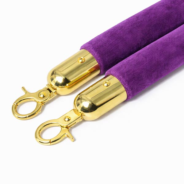 Dây nhung tím thay thế cho cột chắn - hình 3