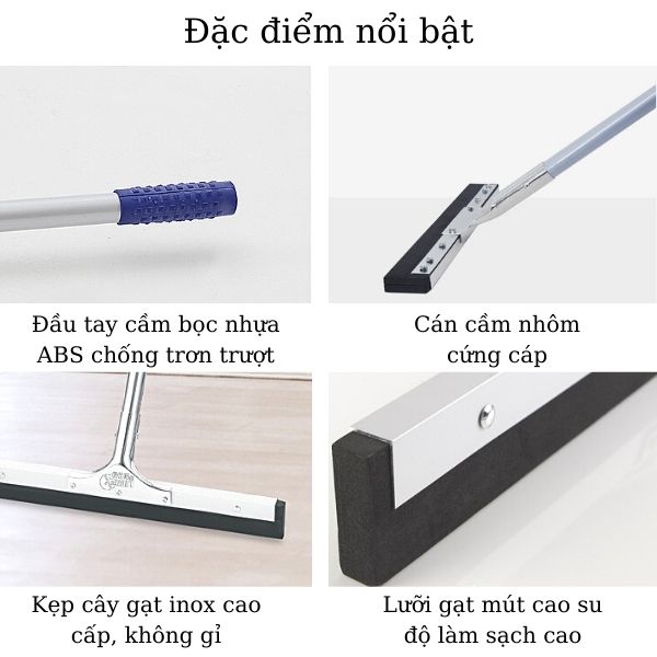 Một số đặc điểm của cây gạt nước lau sàn