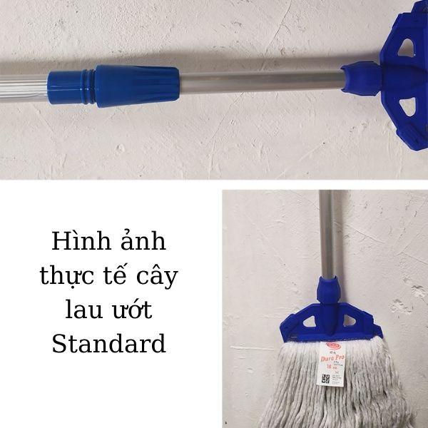 Hình ảnh thực tế cây lau sàn ướt Standard