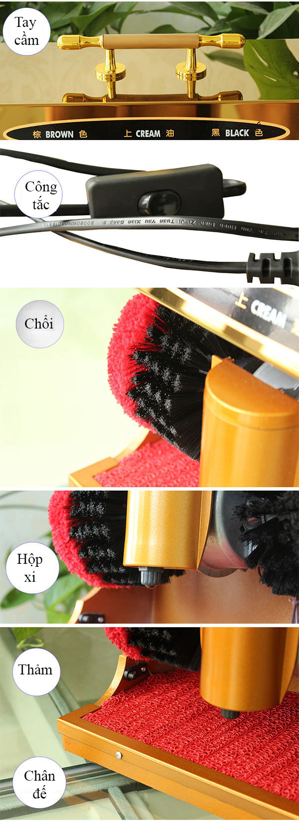 Tham khảo các chi tiết cấu thành máy chà giày