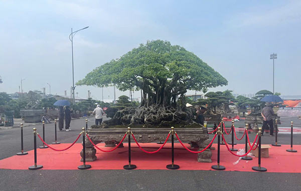 Mẫu cột chắn inox sơn đen sử dụng được nhiều không gian