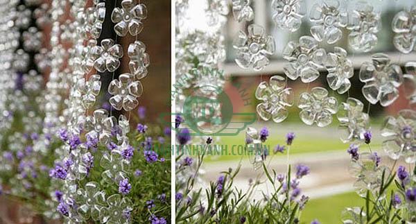 Xinh xắn với những bông hoa treo cạnh cửa sổ
