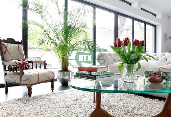 Nên bố trí cây xanh trên bàn làm việc 