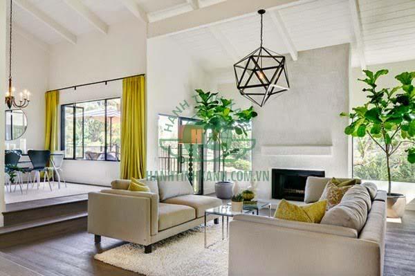 Sử dụng cây cảnh trong phòng sẽ thêm thoáng 