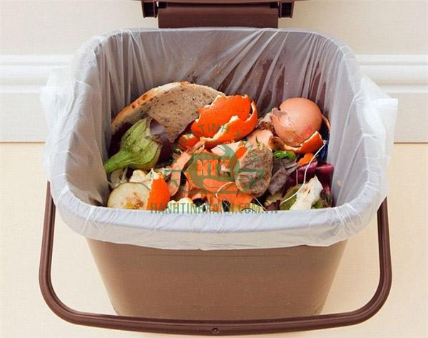 Lười đổ rác khiến bếp bẩn và có mùi khó chịu