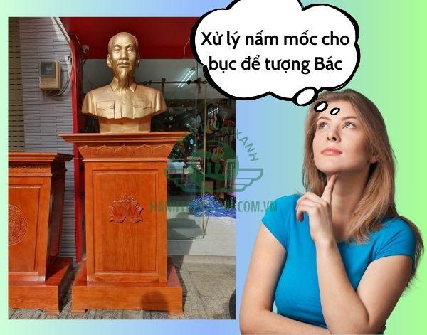 Vì sao bục tượng Bác lại bị nấm mốc?