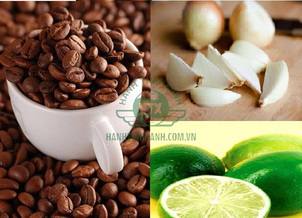 Sử dụng hoa quả có sẵn trong tủ lạnh