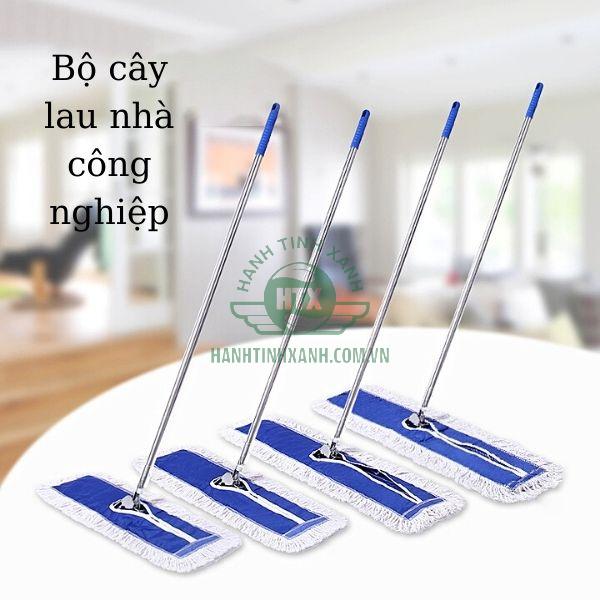 Cây lau nhà phù hợp với việc lau sàn đơn thuần