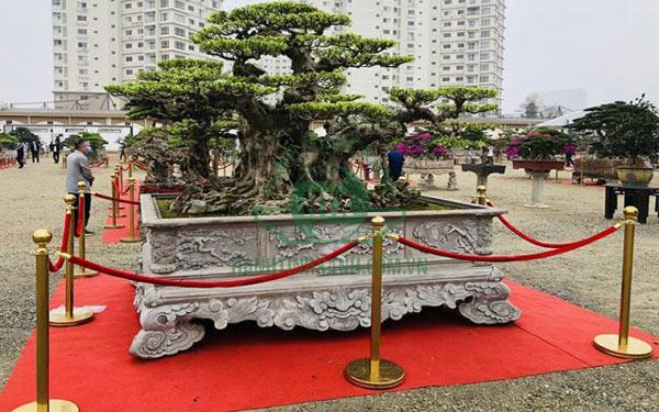 Ngoại hình dây nhung cột chắn ảnh hưởng lớn đến thẩm mỹ không gian