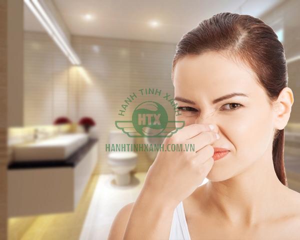 Khử mùi hôi nhà vệ sinh