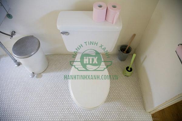 Không bỏ giấy vệ sinh vào bồn cầu 