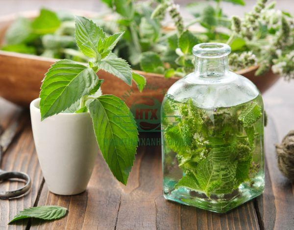 Nước rửa tay đến từ thiên nhiên có hương thơm nhẹ