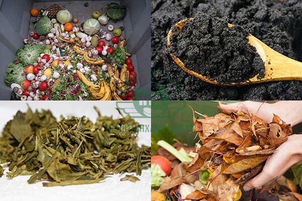 Rác thải hữu cơ có thể là thức ăn thừa, bã cà phê, bã trà, lá cây rụng,...