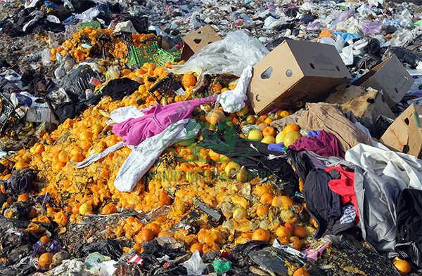 Tình trạng rác thải hữu cơ bị vứt bỏ cùng các loại rác khác không hề hiếm gặp ở Việt Nam