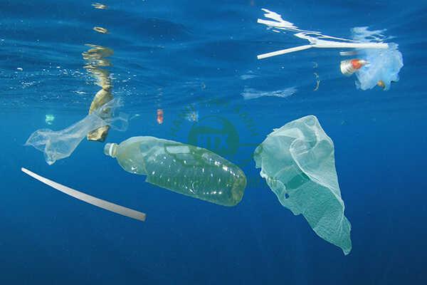 Rác thải nhựa đại dương