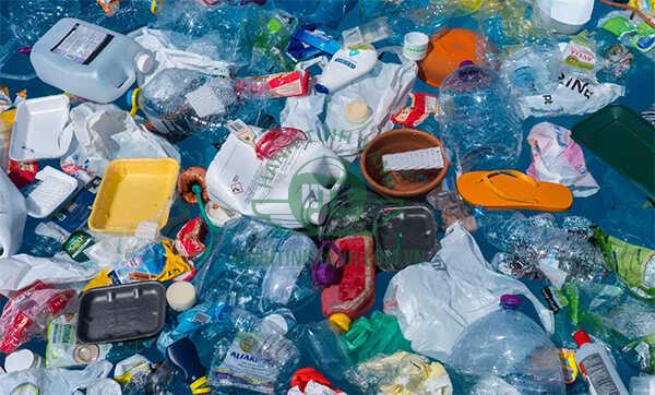 Tăng sử dụng các đồ dùng nhựa 1 lần làm tăng lượng rác thải nhựa trên biển