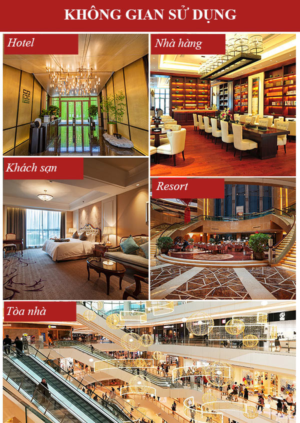 Xe đẩy hành lý chất lượng tiện dụng