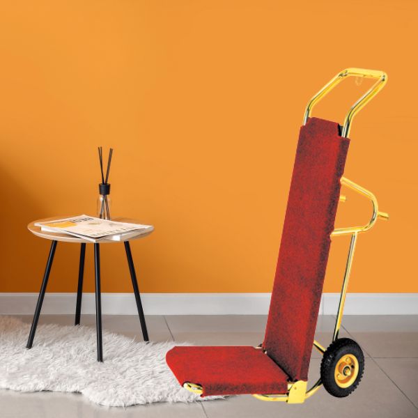 Đặt mua xe đẩy hành lý ngay tại Hành Tinh Xanh để có giá tốt